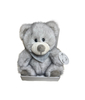 Gray plush teddy bear wearing a gray bandana, placed in the box